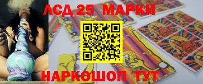 прущие грибы Краснодар