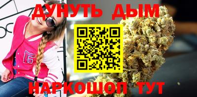 прущие грибы Краснодар