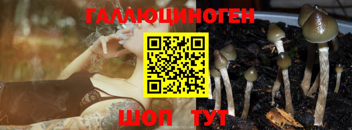 Кубинка  Галлюциногенные грибы мицелий  купить наркоту  Вход с VPN 